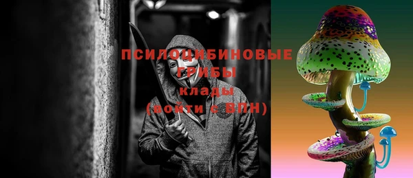 ГАЛЛЮЦИНОГЕННЫЕ ГРИБЫ Алзамай