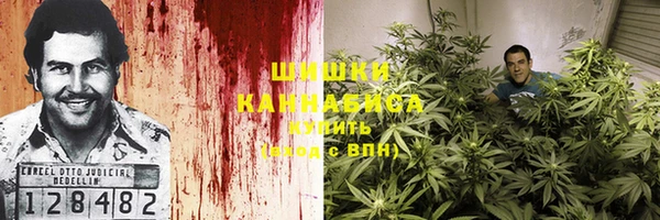 ГАЛЛЮЦИНОГЕННЫЕ ГРИБЫ Алзамай