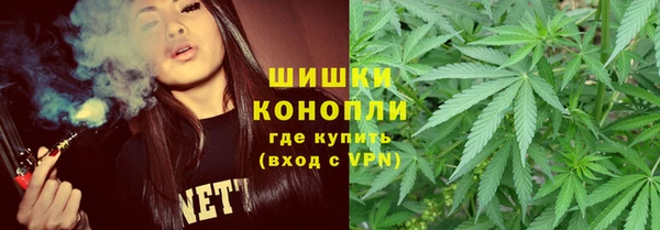 ГАЛЛЮЦИНОГЕННЫЕ ГРИБЫ Алзамай