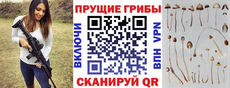 кракен как войти  маркетплейс официальный сайт  Галлюциногенные грибы Psilocybe  Козьмодемьянск 
