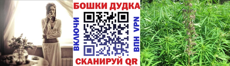 Шишки марихуана сатива  Козьмодемьянск 